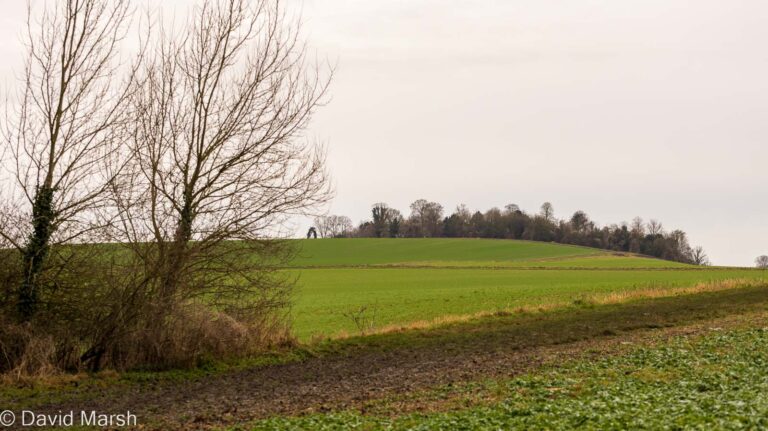 Walk: Steventon to Ardington