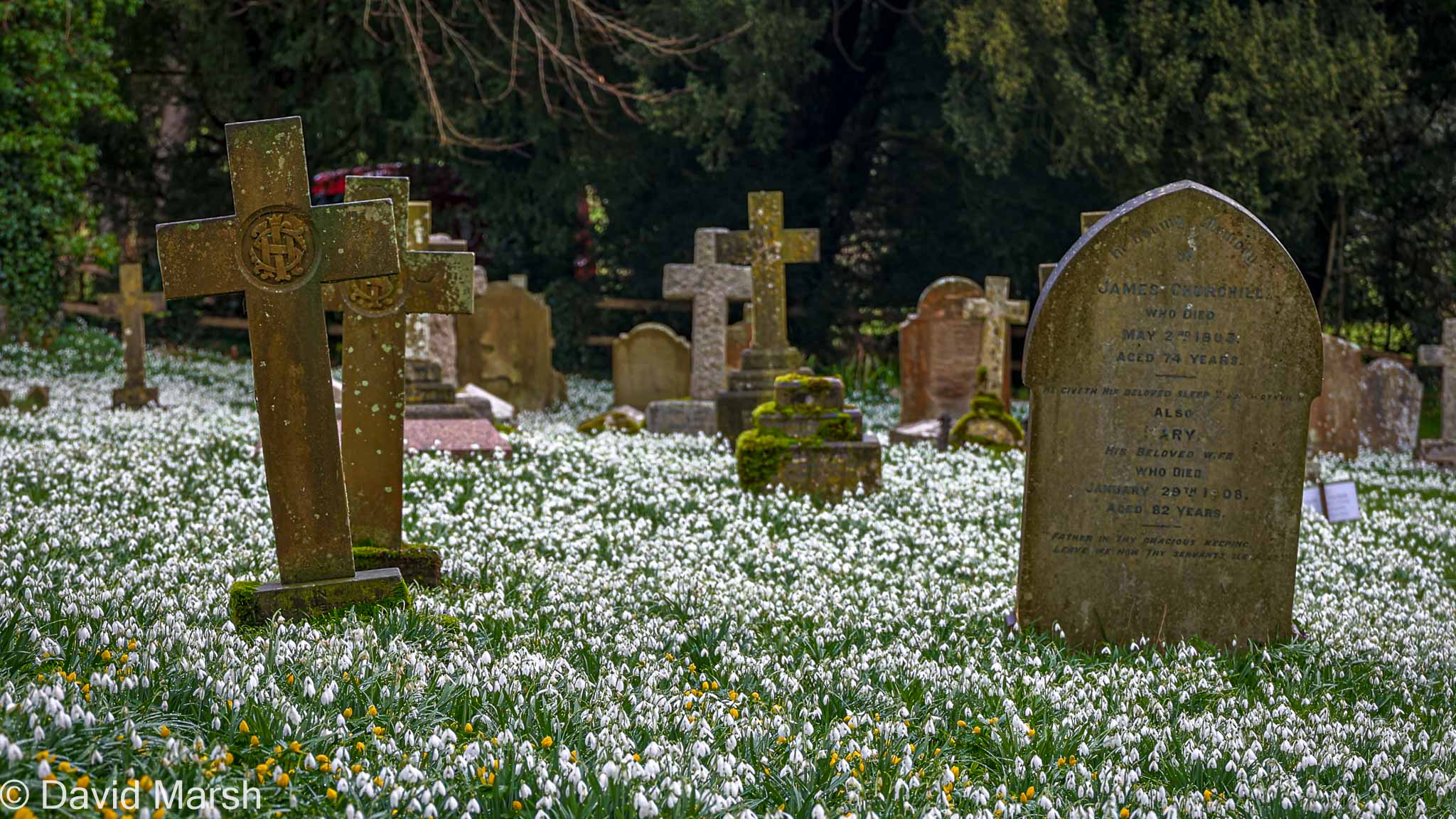 Walk: Ewelme Swyncombe Photos from a walk on Thursday February 12th from Ewelme to Swyncombe