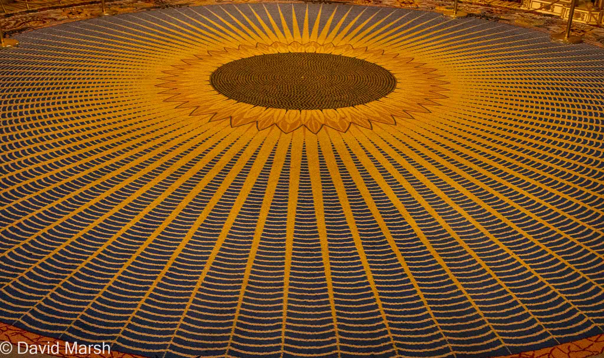 Brighton: Royal Pavilion Royal Saloon Carpet