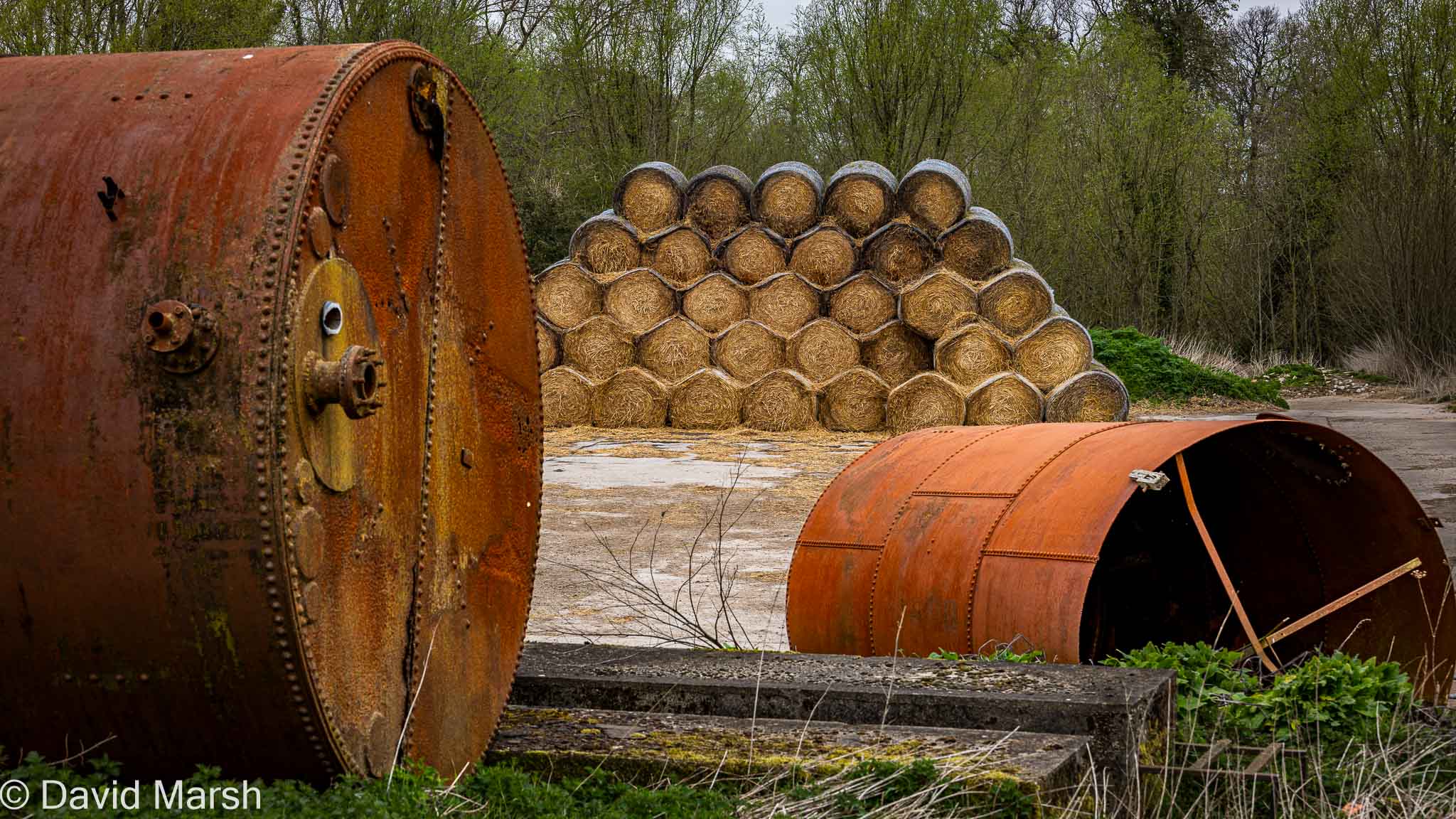 Walk: E Hendred Ardington Red Barn Farm, Ardington